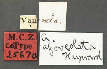 Media type: image;   Entomology 25670 Aspect: labels